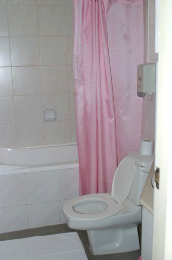 Shower and toilet